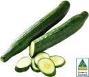Australian-Continental-Cucumber Sale