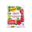 Berri-Quelch-Fruit-Sticks-Ice-Blocks-24-x-70ml Sale