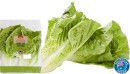 Coles-Australian-Baby-Cos-Lettuce-2-Pack Sale