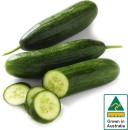 Australian-Lebanese-Cucumber Sale