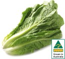 Australian-Cos-Lettuce-Twin-Pack Sale