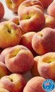 Australian-White-or-Yellow-Peaches Sale