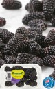Australian-Blackberries-170g-Punnet Sale