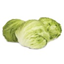Australian-Iceberg-Lettuce Sale