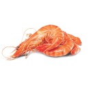 Thawed-Large-Australian-Cooked-Tiger-Prawns Sale