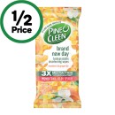 Pine-O-Cleen-Brand-New-Day-Wipes-Pk-110 Sale