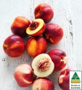 Australian-Yellow-or-White-Nectarines Sale