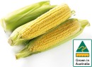 Australian-Sweet-Corn-500g-Pack Sale