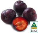 Australian-Plums Sale