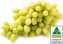 Australian-White-Seedless-Grapes Sale