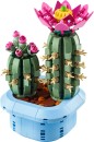 LEGO-Botanicals-Flowering-Cactus-11509 Sale