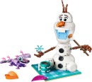 LEGO-Disney-Olaf-and-Brunis-Picnic-Fun-43287 Sale