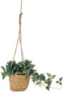 Artificial-Zebrina-in-Hanging-Pot Sale