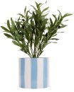 Blue-Stripe-Pot Sale