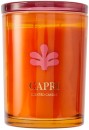 Destination-Capri-Candle Sale