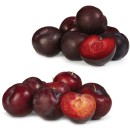 Australian-Red-or-Black-Plums Sale