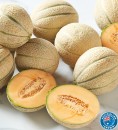 Australian-Rockmelon Sale
