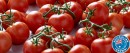 Australian-Truss-Tomatoes Sale