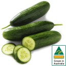Australian-Lebanese-Cucumber Sale
