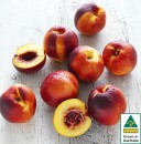 Australian-Yellow-or-White-Nectarines Sale