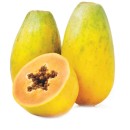 Australian-Red-Papaya Sale