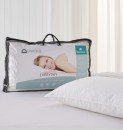 Downia-Everyday-Duck-Feather-and-Down-Pillow Sale
