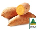 Australian-Gold-Sweet-Potatoes Sale