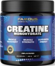 Famous-Nutrition-Unflavoured-Creatine-300g Sale