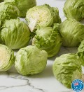 Australian-Iceberg-Lettuce Sale