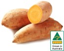Australian-Gold-Sweet-Potatoes Sale