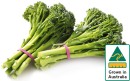 Australian-Baby-Broccoli Sale