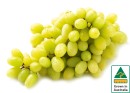 Australian-White-Seedless-Grapes Sale