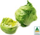Australian-Iceberg-Lettuce Sale