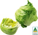 Australian-Iceberg-Lettuce Sale