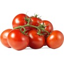 Australian-Truss-Tomatoes Sale