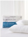 Heritage-2-Pack-Everyday-Pillow Sale
