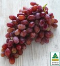 Australian-Red-Seedless-Grapes Sale