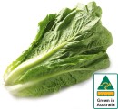 Australian-Cos-Lettuce-Twin-Pack Sale