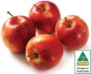 Australian-Royal-Gala-Apples Sale