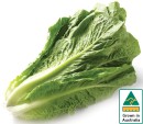 Australian-Cos-Lettuce-Twin-Pack Sale