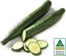 Australian-Continental-Cucumber Sale