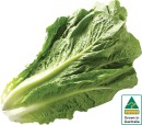 Australian-Cos-Lettuce-Twin-Pack Sale