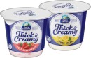 Dairy-Farmers-Thick-Creamy-Yoghurt-140150g-Selected-Varieties Sale