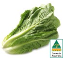 Australian-Cos-Lettuce-Twin-Pack Sale