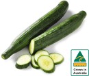 Australian-Continental-Cucumber Sale