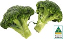 Australian-Broccoli Sale