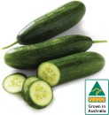 Australian-Lebanese-Cucumber Sale