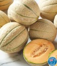 Australian-Rockmelon Sale