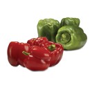 Australian-Red-or-Green-Capsicums Sale