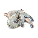 Thawed-Extra-Large-Australian-Green-Tiger-Prawns Sale